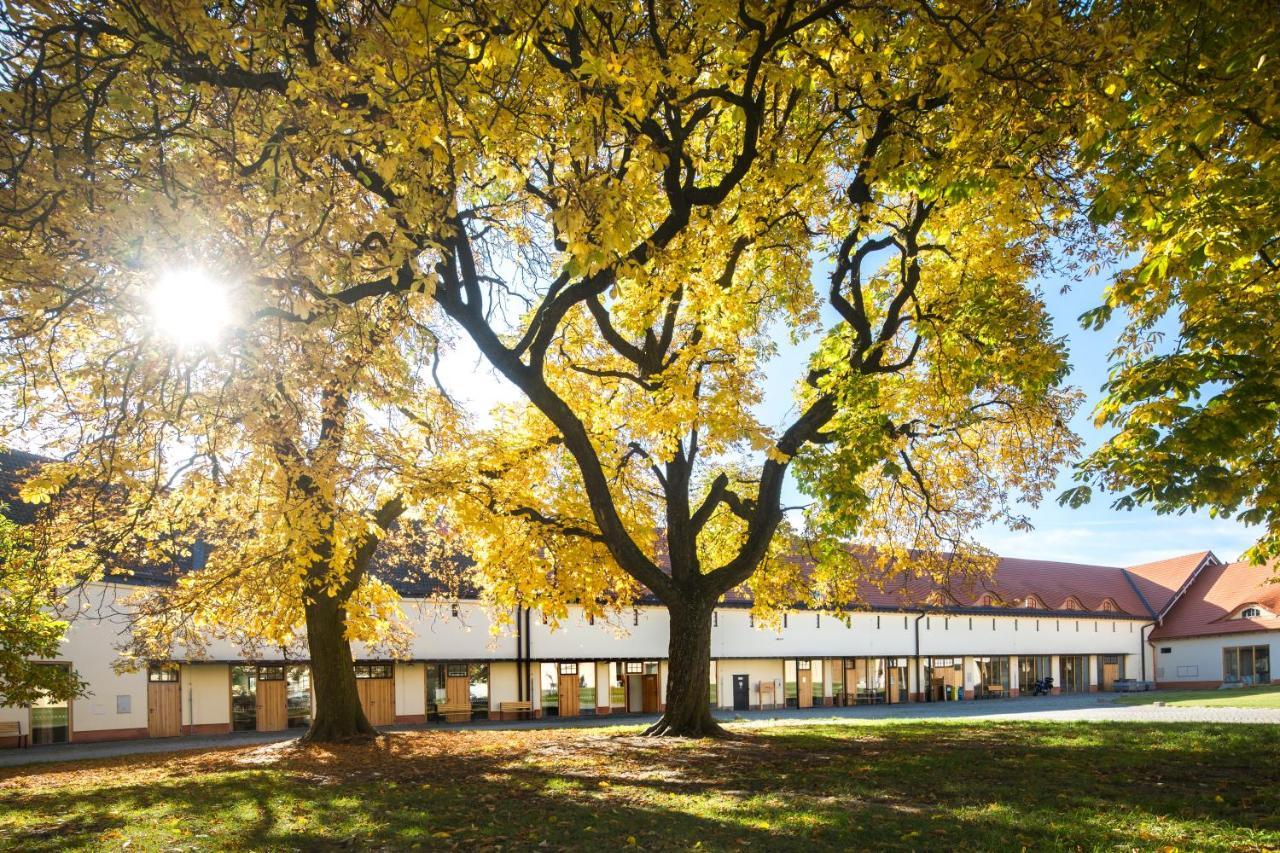 Penzion Pansky Dvur Telč Eksteriør bilde